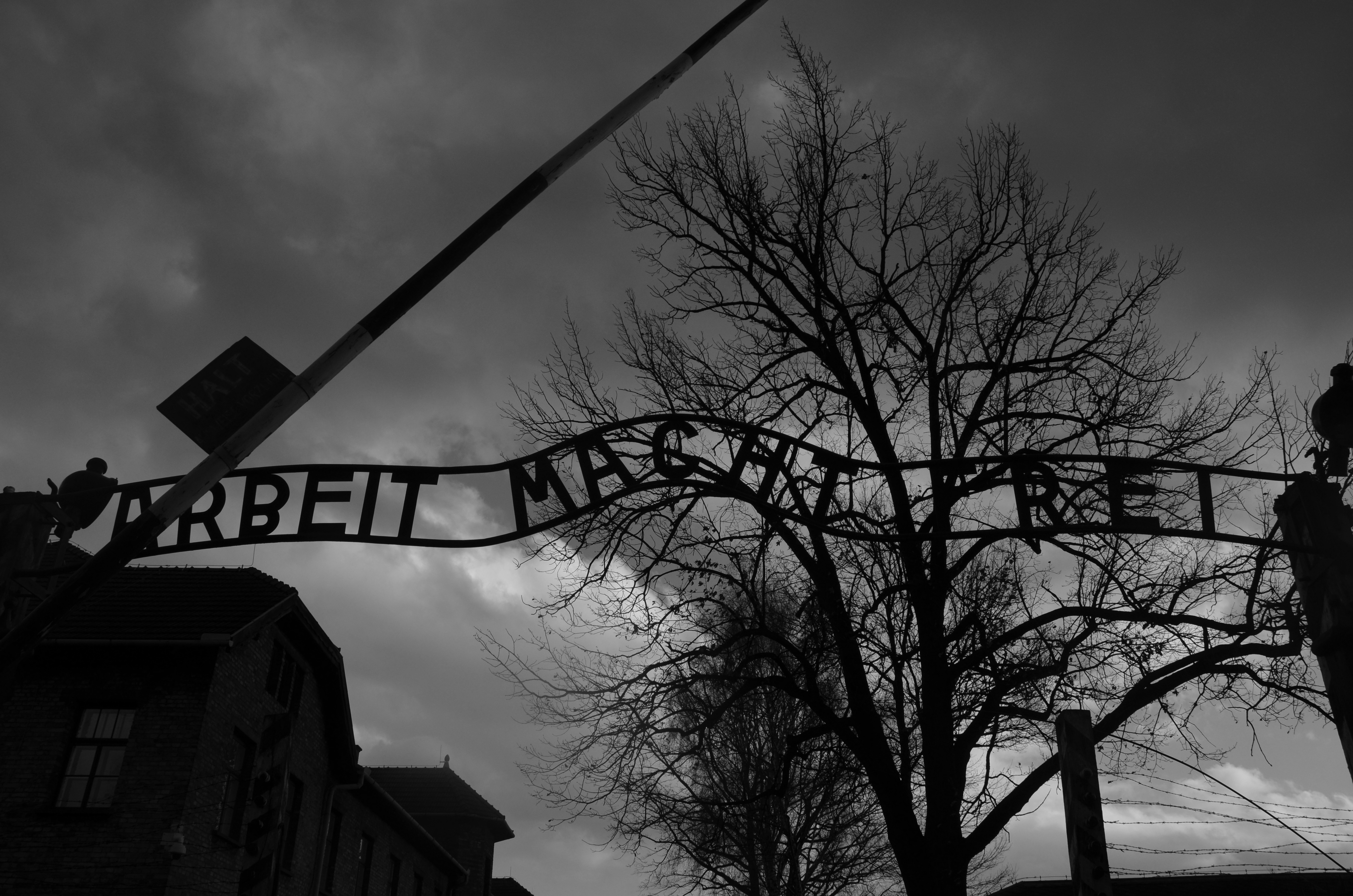 Auschwitz4